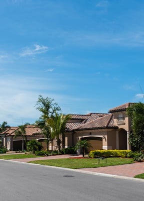 Florida neighborhood street with palm trees