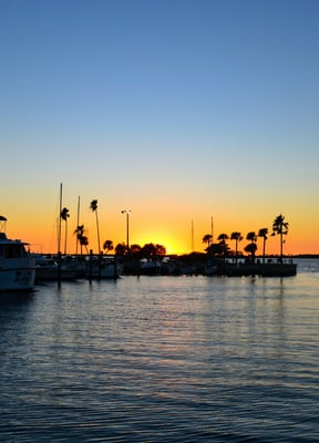 Waterfront marina at sunset with palm trees and boats