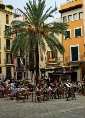 Lively outdoor café square with palm trees and colorful buildings