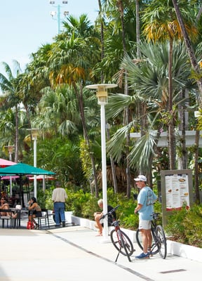 Outdoor plaza with people and palm trees