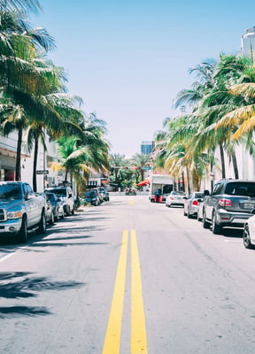 Florida street with palm trees