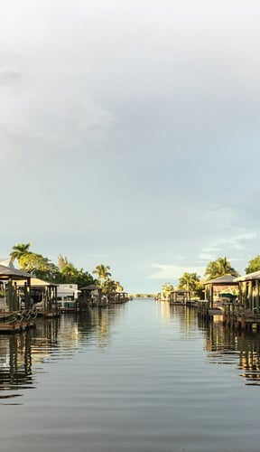 Florida waterfront canal lined with palm trees