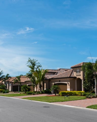 Quiet Florida neighborhood street lined with palm trees and manicured lawns