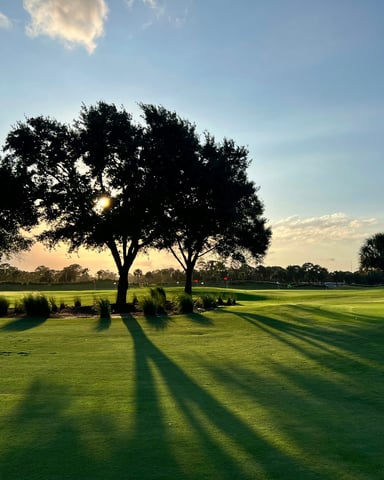 Florida golf course at golden hour with palm trees and green fairway