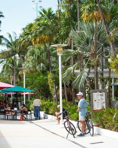 People dining and gathering at an outdoor Florida plaza with palm trees