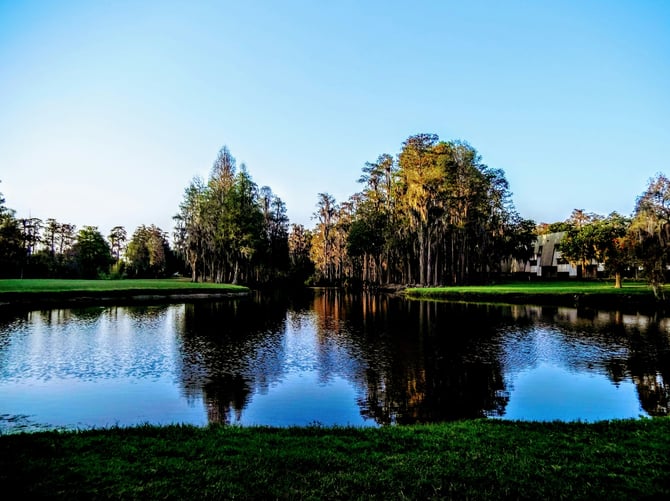Lake Denham