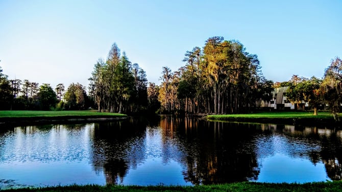 Lake Denham